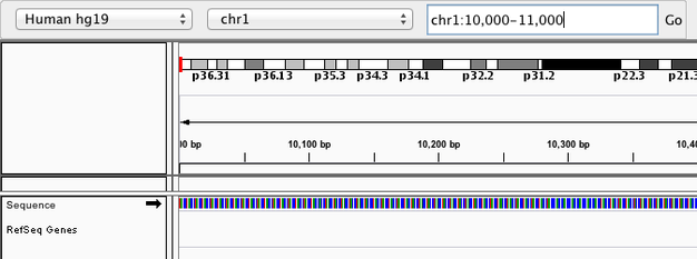 Navigition using Location text field. Sequence displayed as thin coloured rectangles.